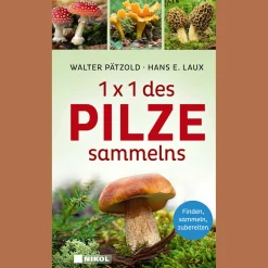 Clearance Waschbär 1 x 1 des Pilzesammelns. Finden, sammeln, zubereiten.