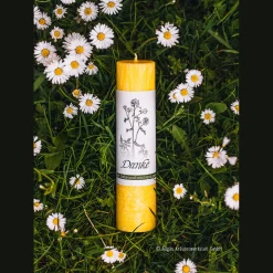 Sale Waschbär Allgäuer Heilkräuterkerze »Danke«.