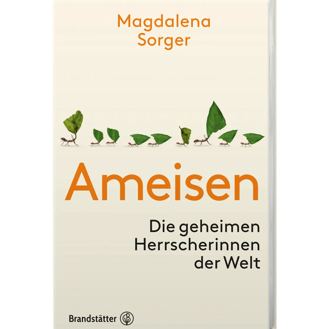 Discount Waschbär Ameisen. Die geheimen Herrscherinnen der Welt.