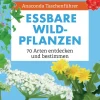 Sale Waschbär Anaconda Taschenführer Essbare Wildpflanzen. 70 Arten entdecken und bestimmen.
