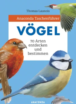 Waschbär Anaconda Taschenführer Vögel. 70 Arten entdecken und bestimmen.