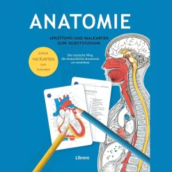 Best Waschbär Anatomie - Anleitung und Malkarten zum Selbststudium. Der einfache Weg, die menschliche Anatomie zu verstehen.
