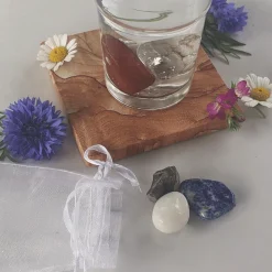 Waschbär »AquaViva«-Set zur Wasseraufbereitung. Fantasie.