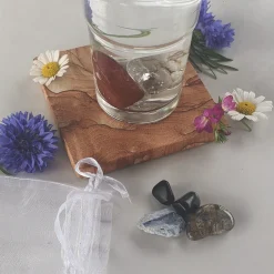 Discount Waschbär »AquaViva«-Set zur Wasseraufbereitung. Nervensystem.