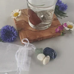 Clearance Waschbär »AquaViva«-Set zur Wasseraufbereitung. Vitalität.