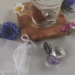 New Waschbär »AquaViva«-Set zur Wasseraufbereitung. Haut.