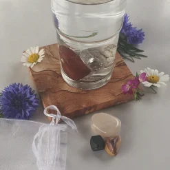 Sale Waschbär »AquaViva«-Set zur Wasseraufbereitung. Nachtruhe.