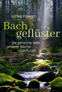 Clearance Waschbär Bachgeflüster. Die geheime Welt unserer Bäche und Flüsse.