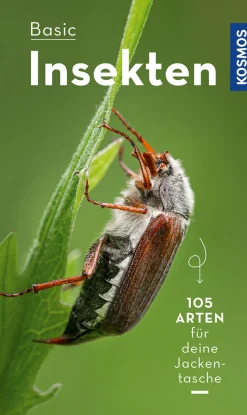 Clearance Waschbär Basic Insekten.