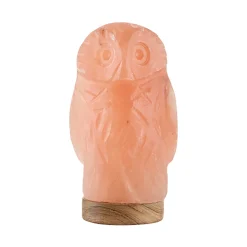 Best Waschbär Beleuchteter Salzkristall „Eule“