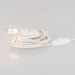 Waschbär Beleuchtung für große Annaberger Faltsterne.