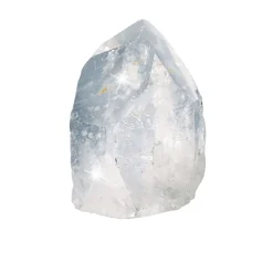 Online Waschbär Bergkristallspitze, groß.