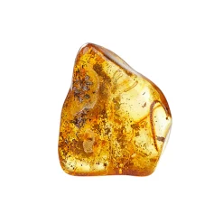 Outlet Waschbär Bernstein-Handschmeichler, poliert