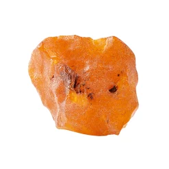 Outlet Waschbär Bernstein-Handschmeichler, naturbelassen