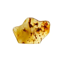 Online Waschbär Bernstein-Rohstein, poliert. Einzelstück.