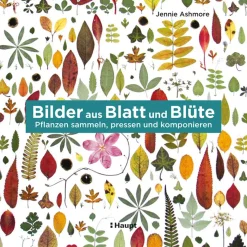 Waschbär Bilder aus Blatt und Blüte. Pflanzen, sammeln, pressen und komponieren.