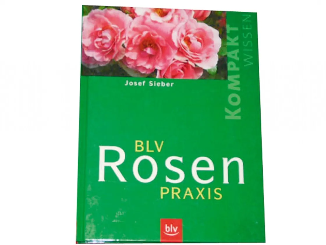 Hot Waschbär BLV Rosenpraxis.