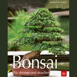 Discount Waschbär Bonsai. Für drinnen und draußen.