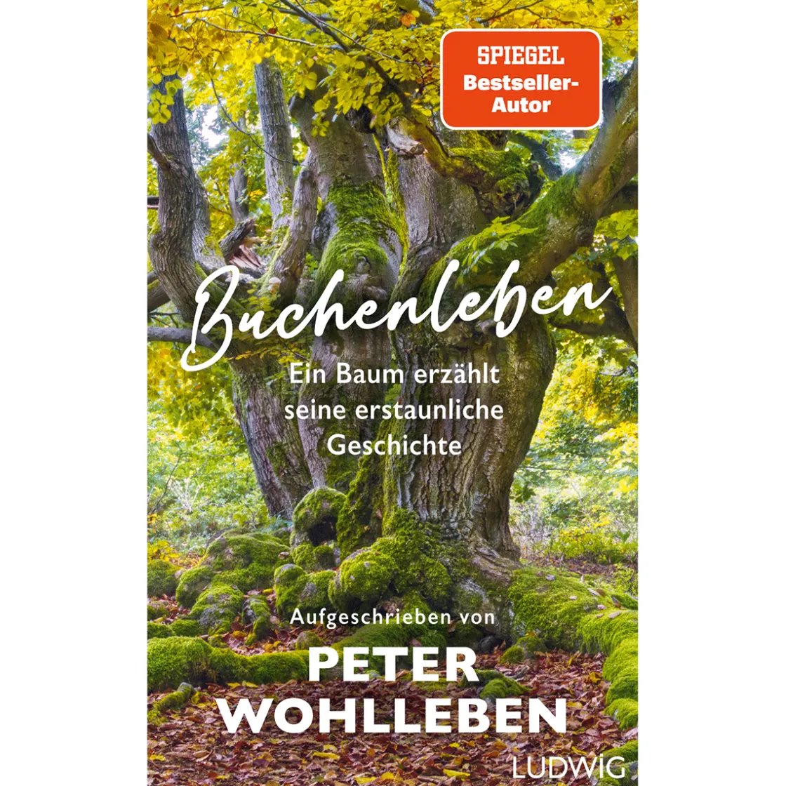 Discount Waschbär Buchenleben. Ein Baum erzählt seine erstaunliche Geschichte.
