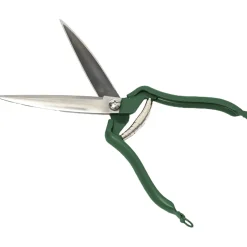 Sale Waschbär Buchs- und Grasschere.