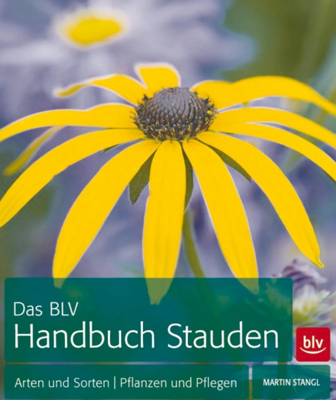 Hot Waschbär Das BLV Handbuch Stauden.
