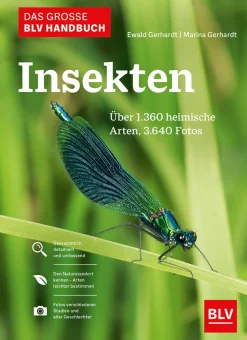 Online Waschbär Das große BLV Handbuch Insekten. Über 1360 heimische Arten, 3640 Fotos.