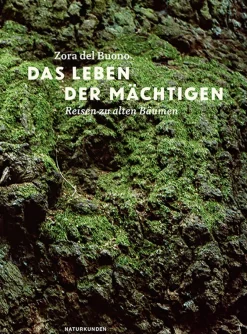 Discount Waschbär Das Leben der Mächtigen. Reisen zu alten Bäumen.