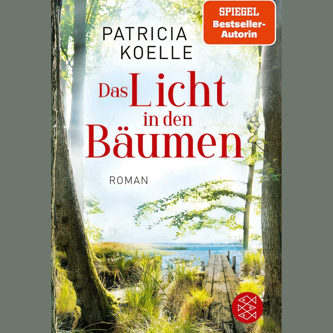 New Waschbär Das Licht in den Bäumen: Ein Sehnsuchtswald-Roman | Ein Buch wie Wellness für die Seele.