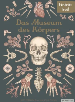 Best Waschbär Das Museum des Körpers. Eintritt frei!