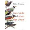 Clearance Waschbär Das wilde Leben der Vögel. Von Nachtschwärmern, Kuckuckskindern und leidenschaftlichen Sängern.