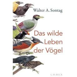 Clearance Waschbär Das wilde Leben der Vögel. Von Nachtschwärmern, Kuckuckskindern und leidenschaftlichen Sängern.