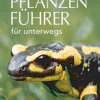 Clearance Waschbär Der BLV Tier & Pflanzenführer für unterwegs