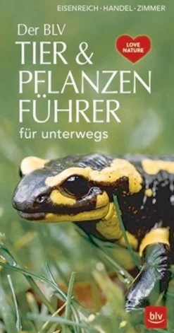 Clearance Waschbär Der BLV Tier & Pflanzenführer für unterwegs