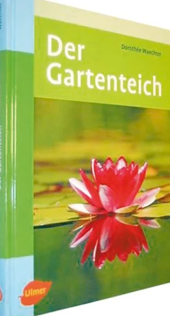 Discount Waschbär Der Gartenteich