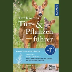 Sale Waschbär Der Kosmos Tier- und Pflanzenführer.