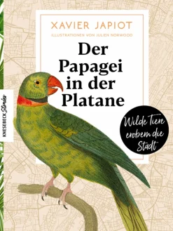 Sale Waschbär Der Papagei in der Platane. Wilde Tiere erobern die Stadt.