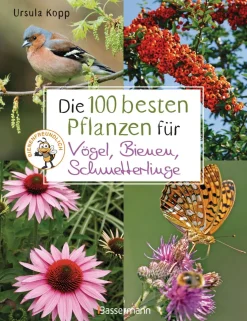 Sale Waschbär Die 100 besten Pflanzen für Vögel, Bienen, Schmetterlinge.
