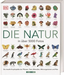 Outlet Waschbär Die Natur in über 5000 Fotos. Die visuelle Enzyklopädie der Pflanzen, Tiere, Mineralien, Mikroorganismen und Pilze.