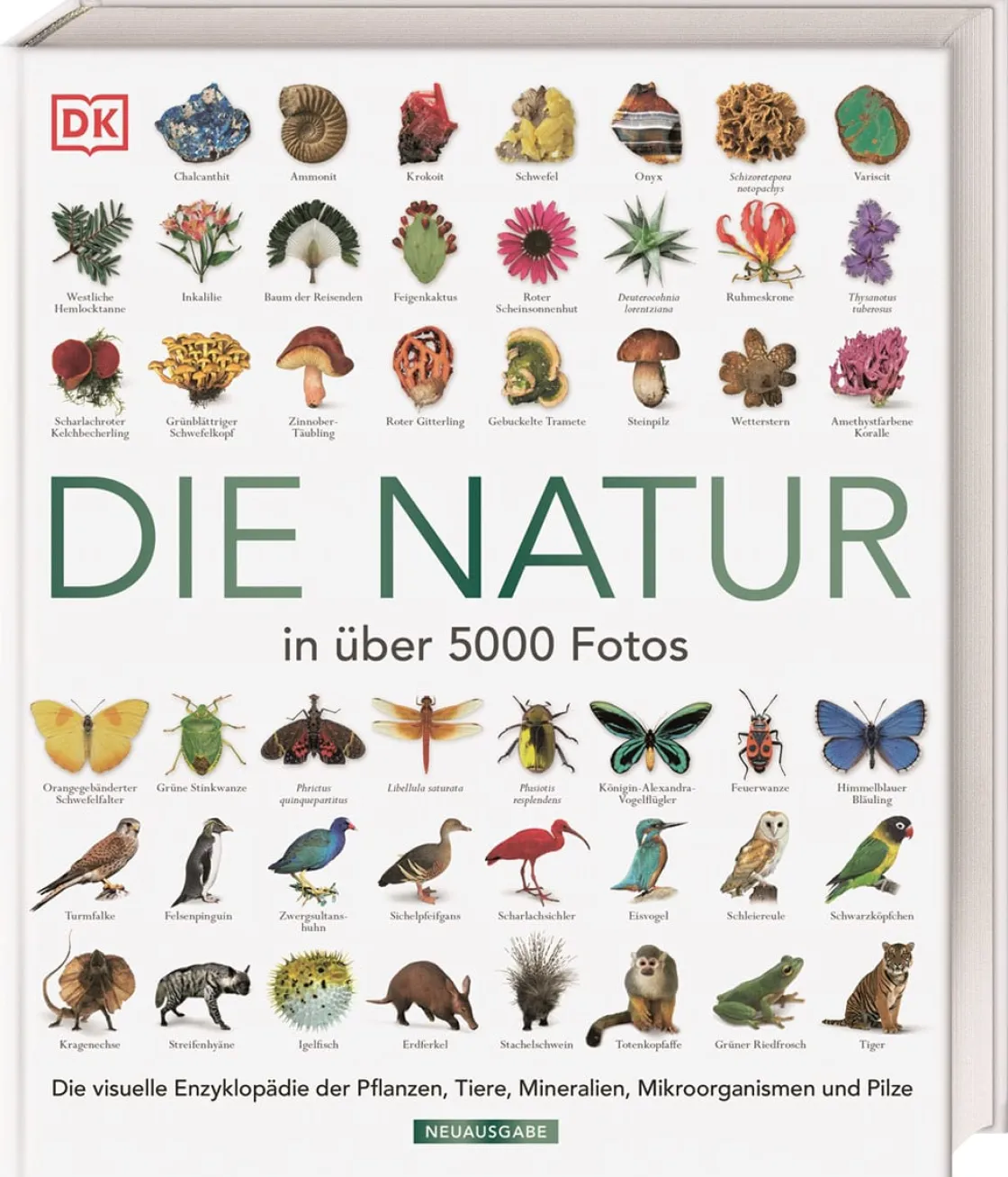 Outlet Waschbär Die Natur in über 5000 Fotos. Die visuelle Enzyklopädie der Pflanzen, Tiere, Mineralien, Mikroorganismen und Pilze.