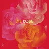 Clearance Waschbär Die Rose. in Fotografie, Grafik, Kunst, Kunsthandwerk und Mode.