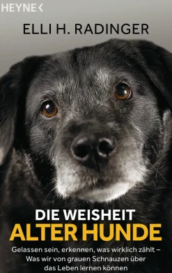 Hot Waschbär Die Weisheit alter Hunde. Gelassen sein, erkennen, was wirklich zählt. Was wir von grauen Schnauzen über das Leben lernen können.