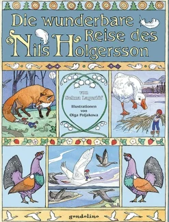 Waschbär Die wunderbare Reise des Nils Holgersson.