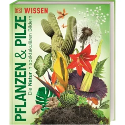 Best Waschbär DK Wissen. Pflanzen und Pilze: Die Natur in spektakulären Bildern. Für Kinder ab 8 Jahren.