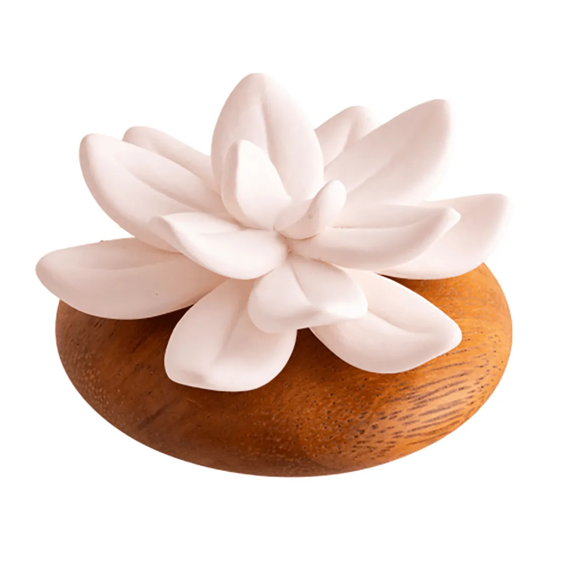 Best Waschbär Duftstein „Lotus“