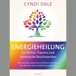 Hot Waschbär Energieheilung für Stress, Trauma und chronische Beschwerden.