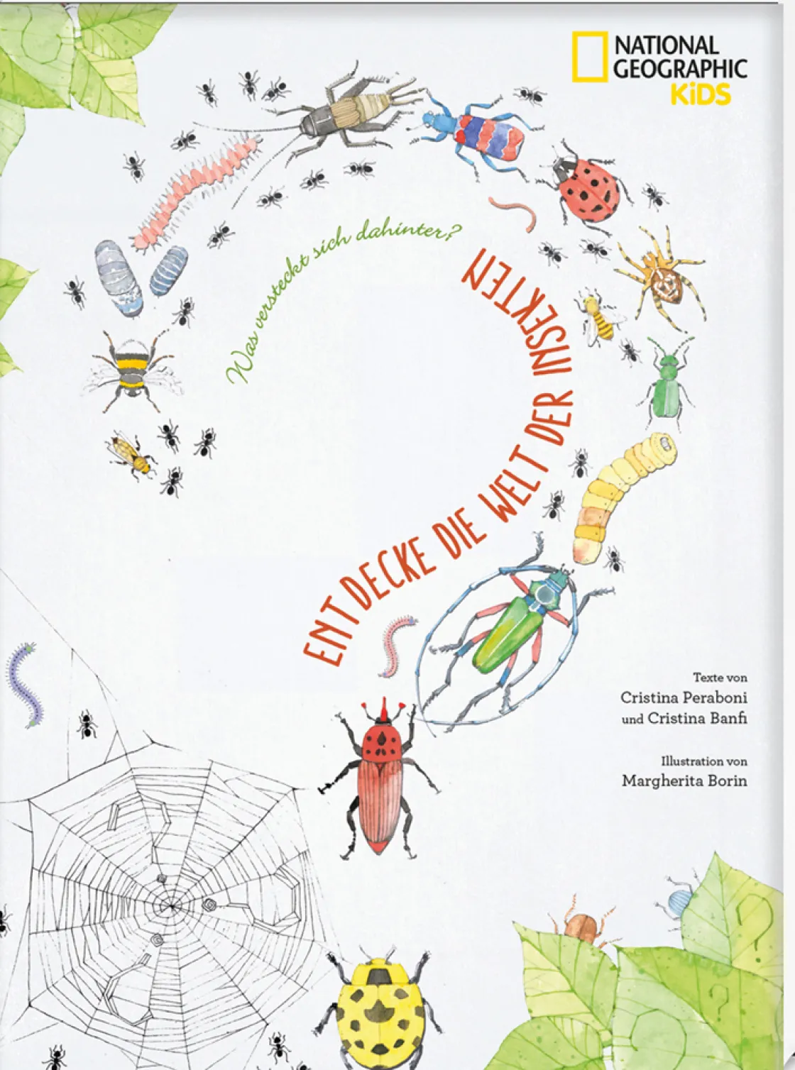 Sale Waschbär Entdecke die Welt der Insekten.