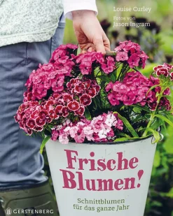 Waschbär Frische Blumen!