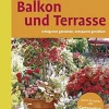 Best Waschbär Frische Ideen für Balkon und Terrasse. Erfolgreich gestalten, entspannt genießen.