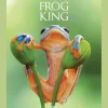 Clearance Waschbär Frog King. Der Frosch. Symbol der bedrohten Natur.