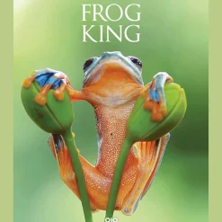 Clearance Waschbär Frog King. Der Frosch. Symbol der bedrohten Natur.